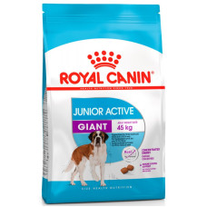 Сухий корм для цуценят Royal Canin GIANT JUNIOR ACTIVE, 15 кг