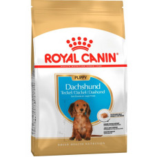 Сухой корм для щенков Royal Canin DACHSHUND PUPPY Сухой корм для щенков Royal Canin DACHSHUND PUPPY