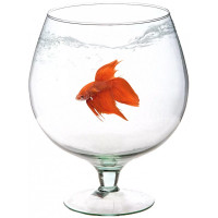 Аквариум-бокал Природа Аквариум-бокал Природа