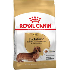 Сухий корм для собак Royal Canin DACHSHUND ADULT