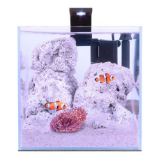 Акваріум Collar Nano Marine Set 15 л Акваріум Collar Nano Marine Set 15 л