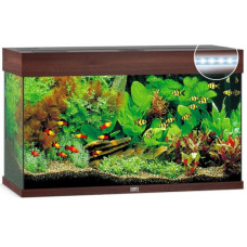 Аквариум Juwel RIO 125 LED коричневый (01750) Аквариум Juwel RIO 125 LED коричневый (01750)
