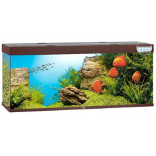 Акваріум Juwel RIO 450 LED коричневий (05750) Акваріум Juwel RIO 450 LED коричневий (05750)