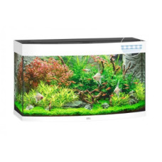 Аквариум Juwel VISION 180 LED белый (09450) Аквариум Juwel VISION 180 LED белый (09450)