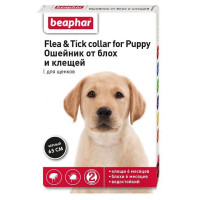Ошейник от блох и клещей для щенков Beaphar 65 см (12407/12156) Ошейник от блох и клещей для щенков Beaphar 65 см (12407/12156)