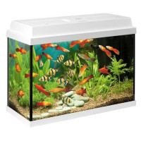 Акваріум Juwel Primo 70 LED (25470)