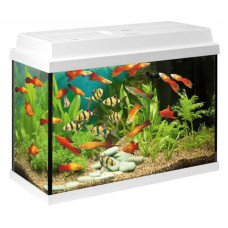 Аквариум Juwel Primo 70 LED (25470)