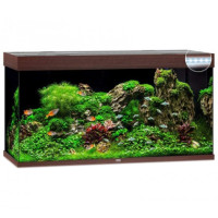 Акваріум Juwel RIO 350 LED коричневий (07750) Акваріум Juwel RIO 350 LED коричневий (07750)
