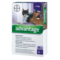 Краплі від бліх і кліщів для котів від 4 кг Bayer Advantage №80, 4 піпетки Краплі від бліх і кліщів для котів від 4 кг Bayer Advantage №80, 4 піпетки