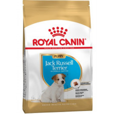 Сухий корм для цуценят Royal Canin Jack Russell Puppy Сухий корм для цуценят Royal Canin Jack Russell Puppy