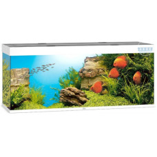 Акваріум Juwel RIO 450 LED білий (5450) Акваріум Juwel RIO 450 LED білий (5450)