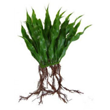 Рослина пластикова для акваріума Hagen Microsorium Java (Папороть) 20 см