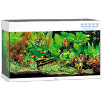 Акваріум Juwel RIO 125 LED білий (01450)