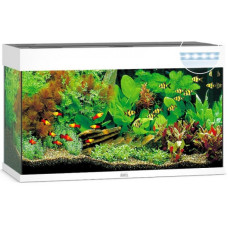 Акваріум Juwel RIO 125 LED білий (01450)