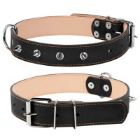 Нашийник для собак Collar подвійний з шипами 25 мм, 38-50 см, чорний (02421)