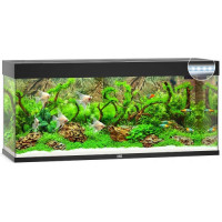 Акваріум Juwel RIO 240 LED чорний (03350) Акваріум Juwel RIO 240 LED чорний (03350)