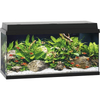 Акваріум Juwel Primo 110 LED чорний (25380)