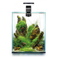 Акваріум для креветок Aquael SMART 2.0 Day and Night 19 л, чорний (122978 / 114957)