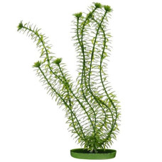 Рослина для акваріума Hagen Marina Anacharis Рослина для акваріума Hagen Marina Anacharis