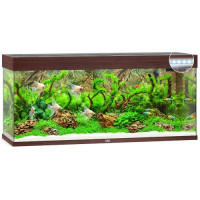 Аквариум Juwel RIO 240 LED коричневый (03750) Аквариум Juwel RIO 240 LED коричневый (03750)