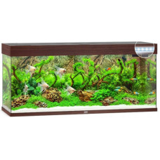 Акваріум Juwel RIO 240 LED коричневий (03750) Акваріум Juwel RIO 240 LED коричневий (03750)