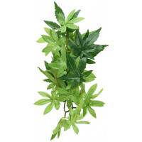 Растение для террариума Exo Terra Abuliton