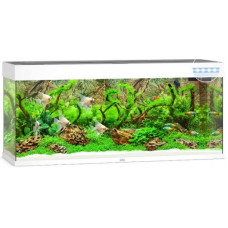 Акваріум Juwel RIO 240 LED білий (03450) Акваріум Juwel RIO 240 LED білий (03450)