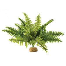 Рослина для тераріуму Exo Terra Boston Fern (PT2990)