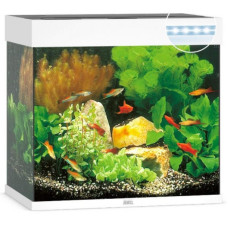 Акваріум Juwel LIDO 120 LED білий (11450) Акваріум Juwel LIDO 120 LED білий (11450)