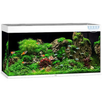 Аквариум Juwel RIO 350 LED белый (07450) Аквариум Juwel RIO 350 LED белый (07450)