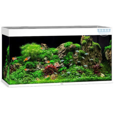 Акваріум Juwel RIO 350 LED білий (07450) Акваріум Juwel RIO 350 LED білий (07450)