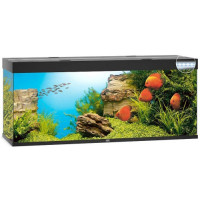 Акваріум Juwel RIO 450 LED чорний (05350) Акваріум Juwel RIO 450 LED чорний (05350)