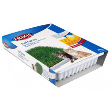 Трава для котів Trixie Soft 100 г (4232)