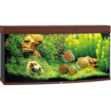 Акваріум Juwel VISION 260 LED коричневий (6750) Акваріум Juwel VISION 260 LED коричневий (6750)