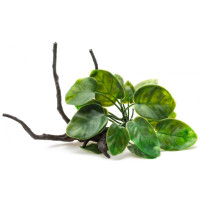 Растение на корне для аквариума Aquael пластик